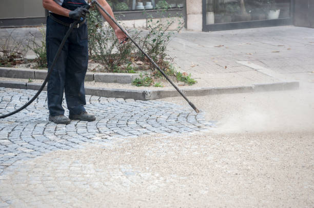 Best Roof Washing  in Patterson, CA